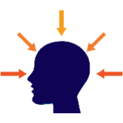 cerebro_01